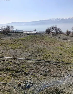 KAT KASABASINDA TEK TAPU ARSA